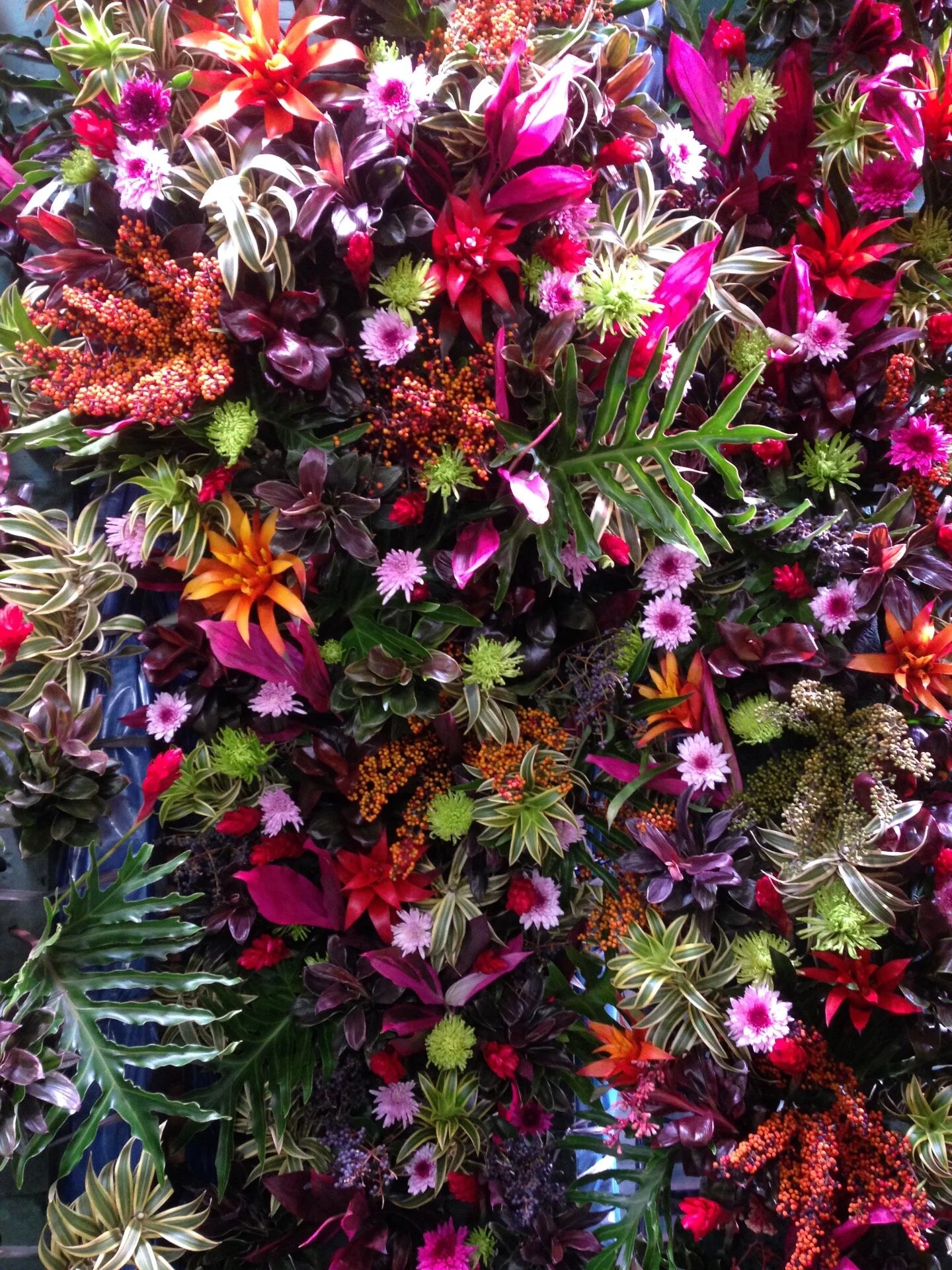 Bem Estar Rede Globo