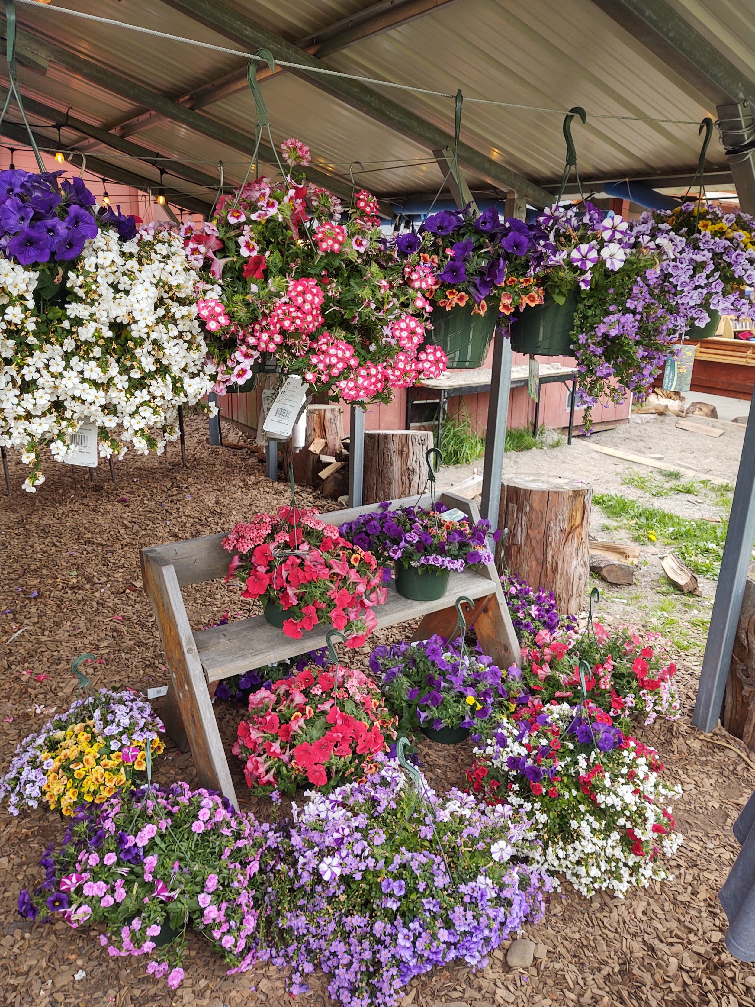 IMG_20230504_135843095_HDR(1).jpg (Copy)