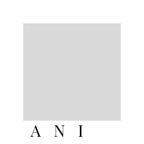ANI.png