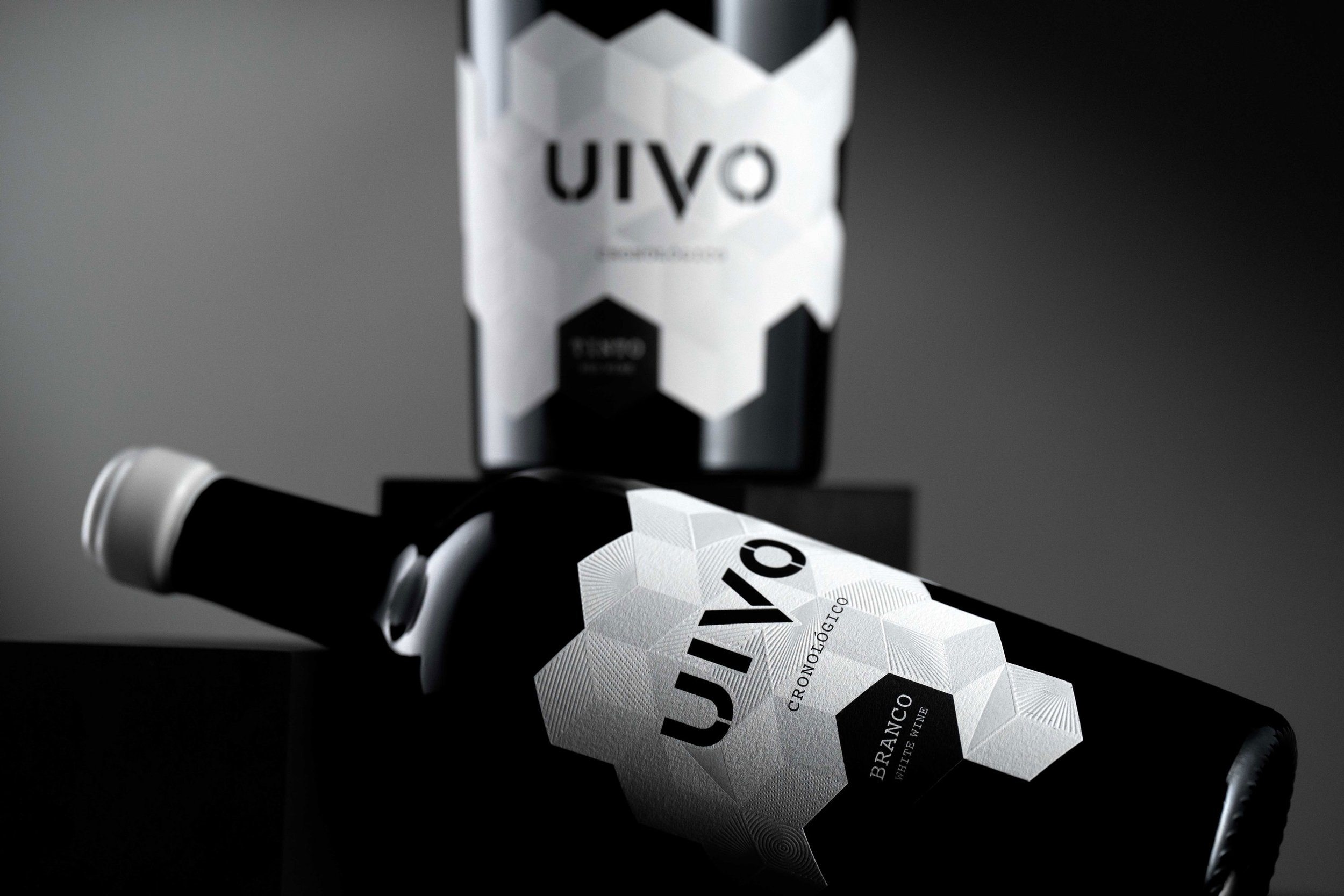 UIVO - 2.jpg