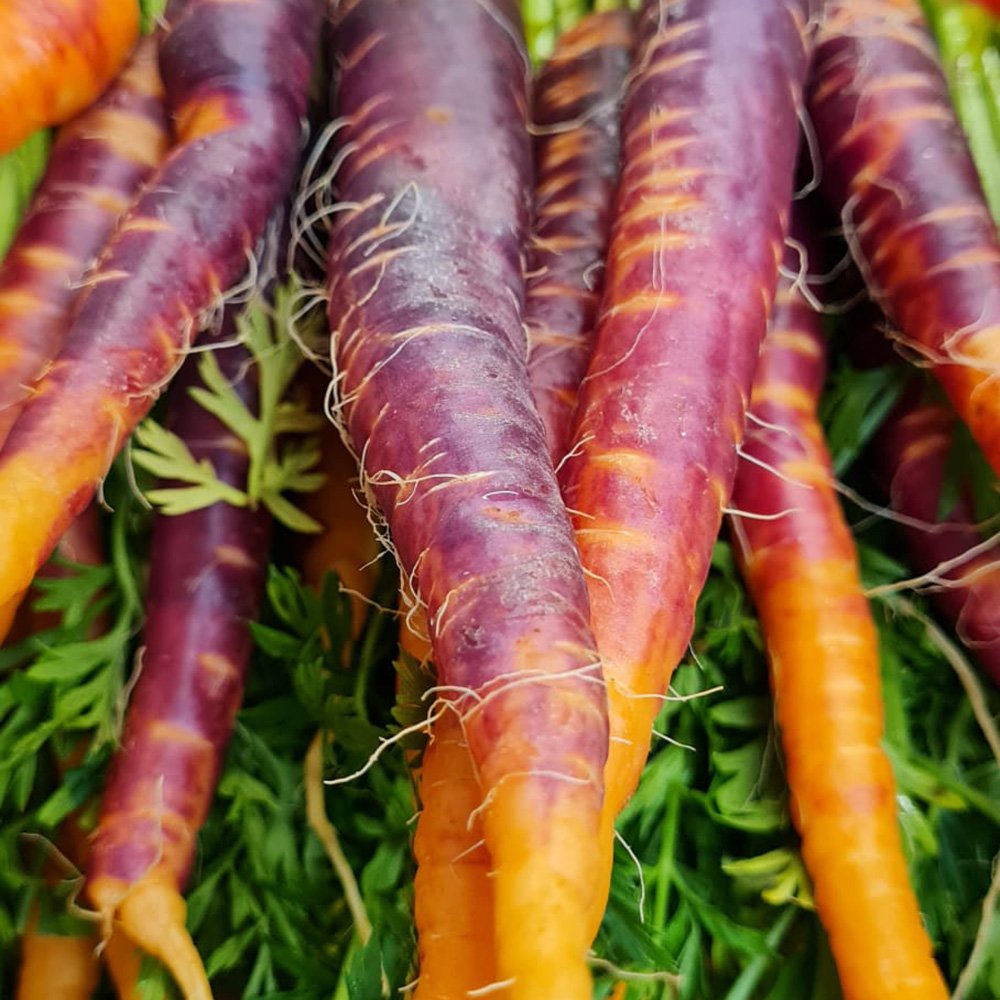 le-marche-purple-carrots-dec-21.jpg