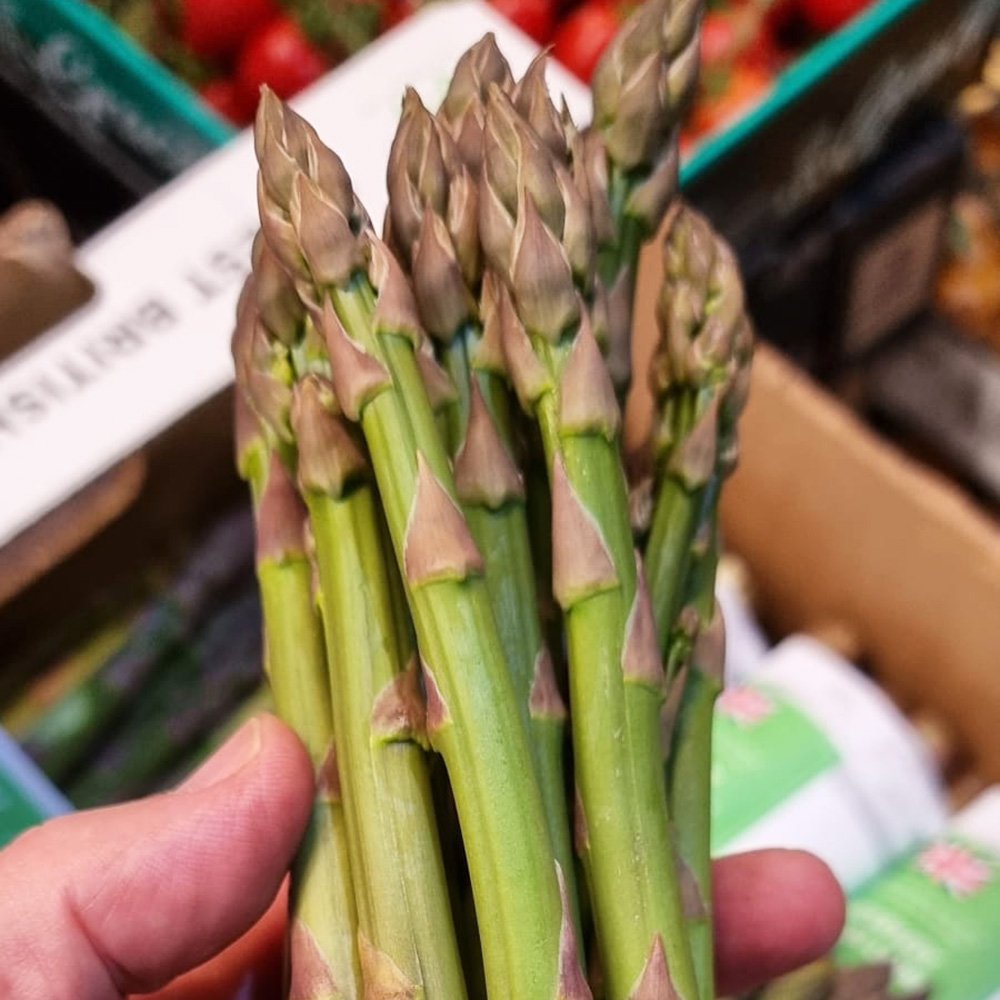 le-marche-spanish-english-asparagus-april-2023.jpg