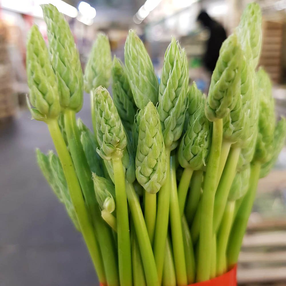 le-marche-wild-asparagus-may-2023.jpg