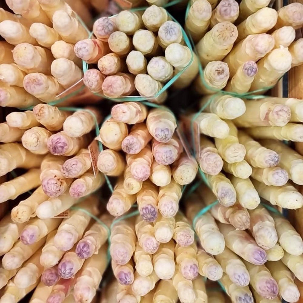 le-marche-white-asparagus-may-2023.jpg