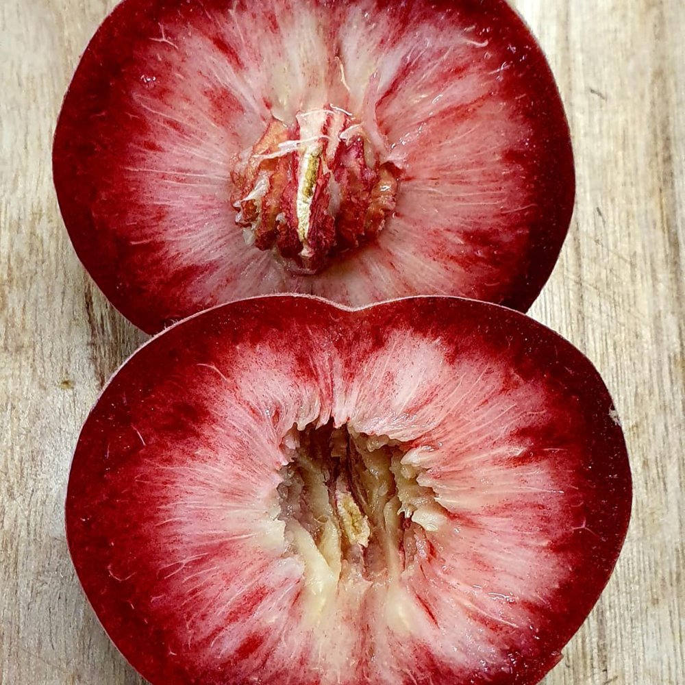 le-marche-red-flesh-plums.jpg