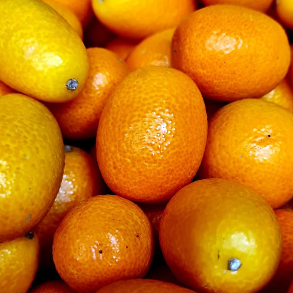 le-marche-kumquats.jpg