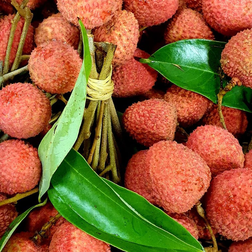 le-marche-lychees-on-branch.jpg