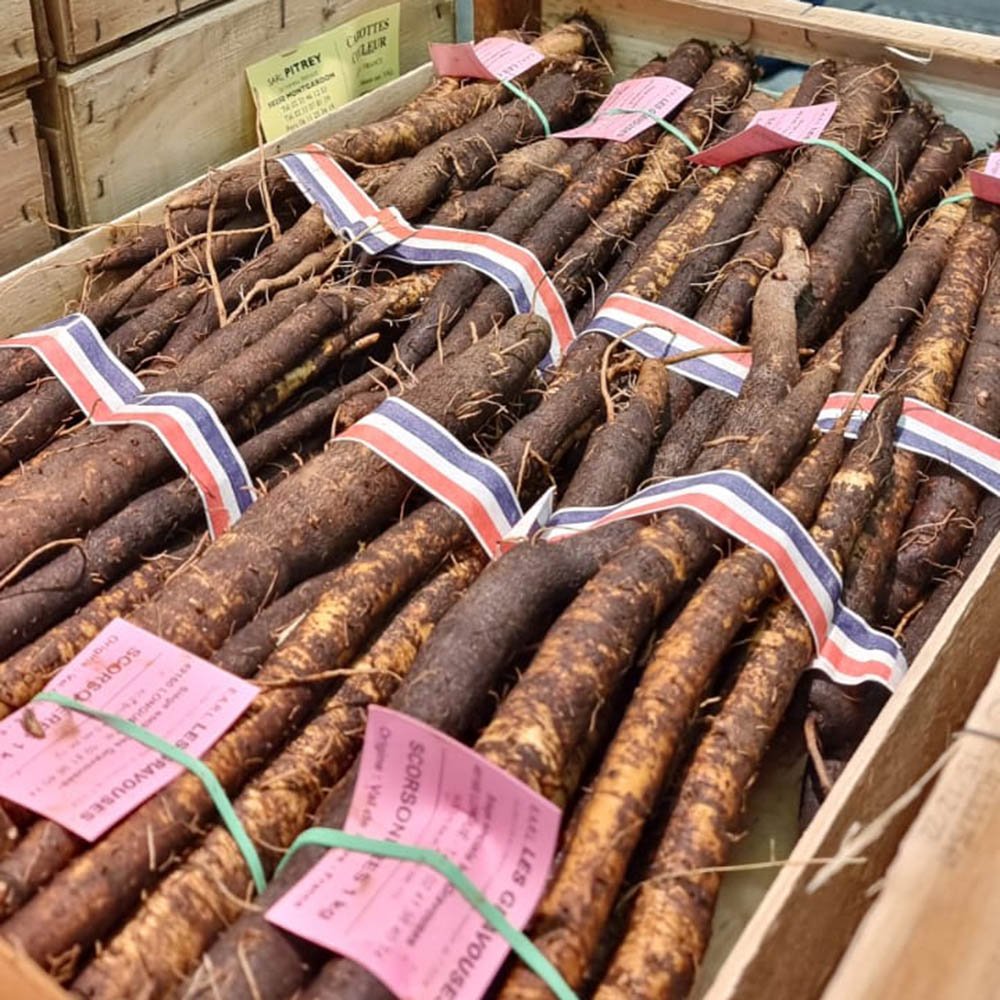 le-marche-salsify-march-2024.jpg
