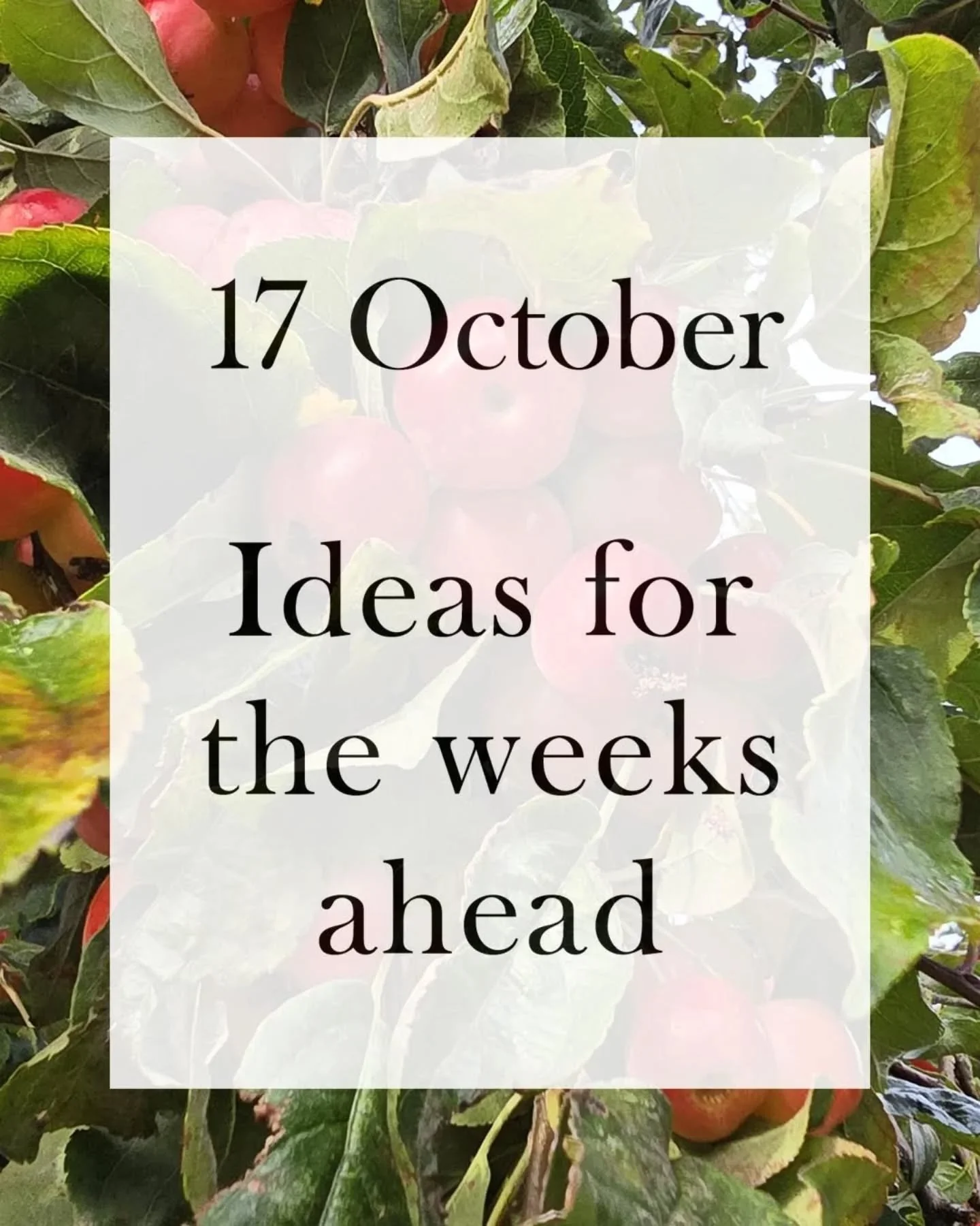 Afternoon Chefs!

A quick mid-month update:

🔹 Excellent citrus including Buddha's Hand, Yuzu, Finger Limes and Pink Tiger Stripe lemons. Expecting first clementines any time now. 🍋
🔹 Ceps are tricky. In Poland, foragers are struggling after recen