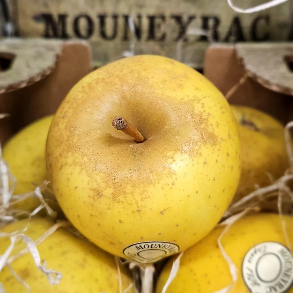 Goldrush Apple