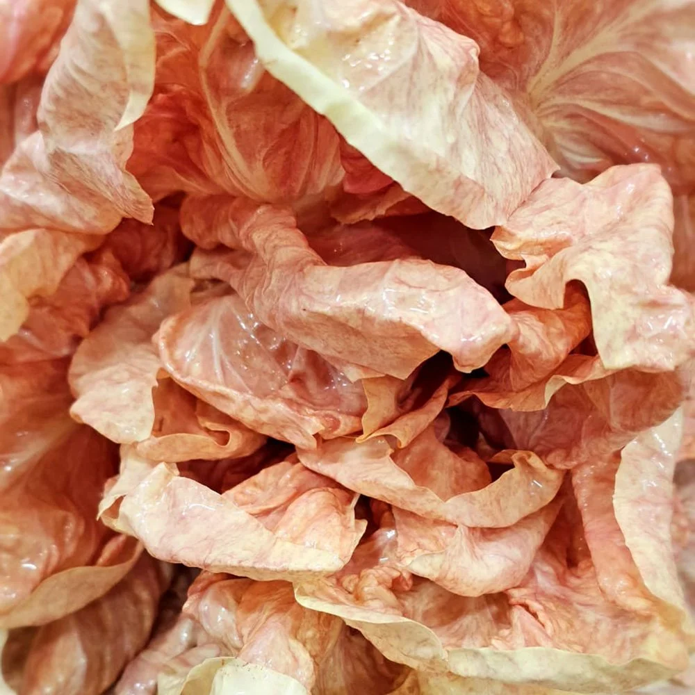 Pink radicchio