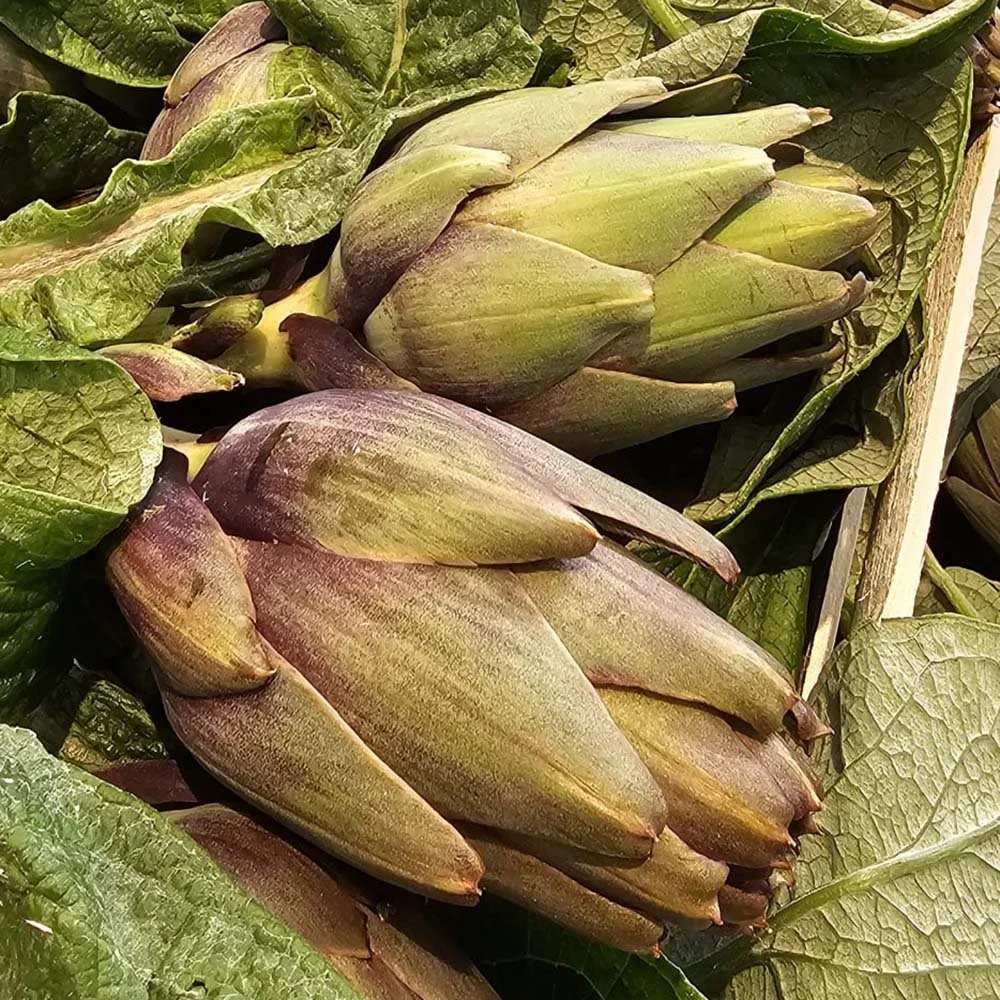 Artichokes