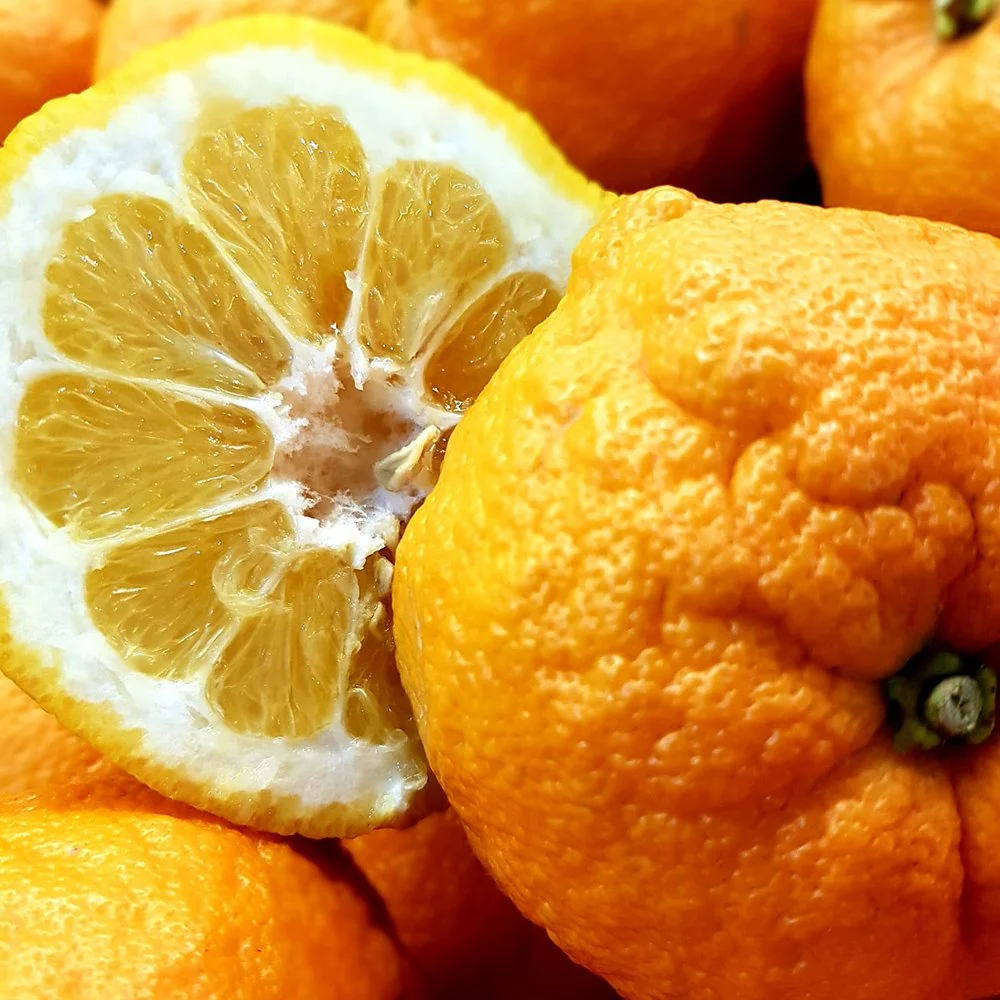 Seville orange