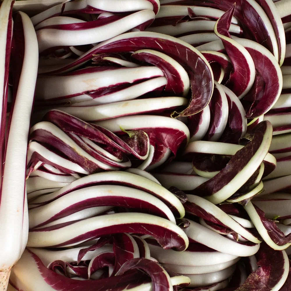le-marche-tardivo-radicchio.jpg