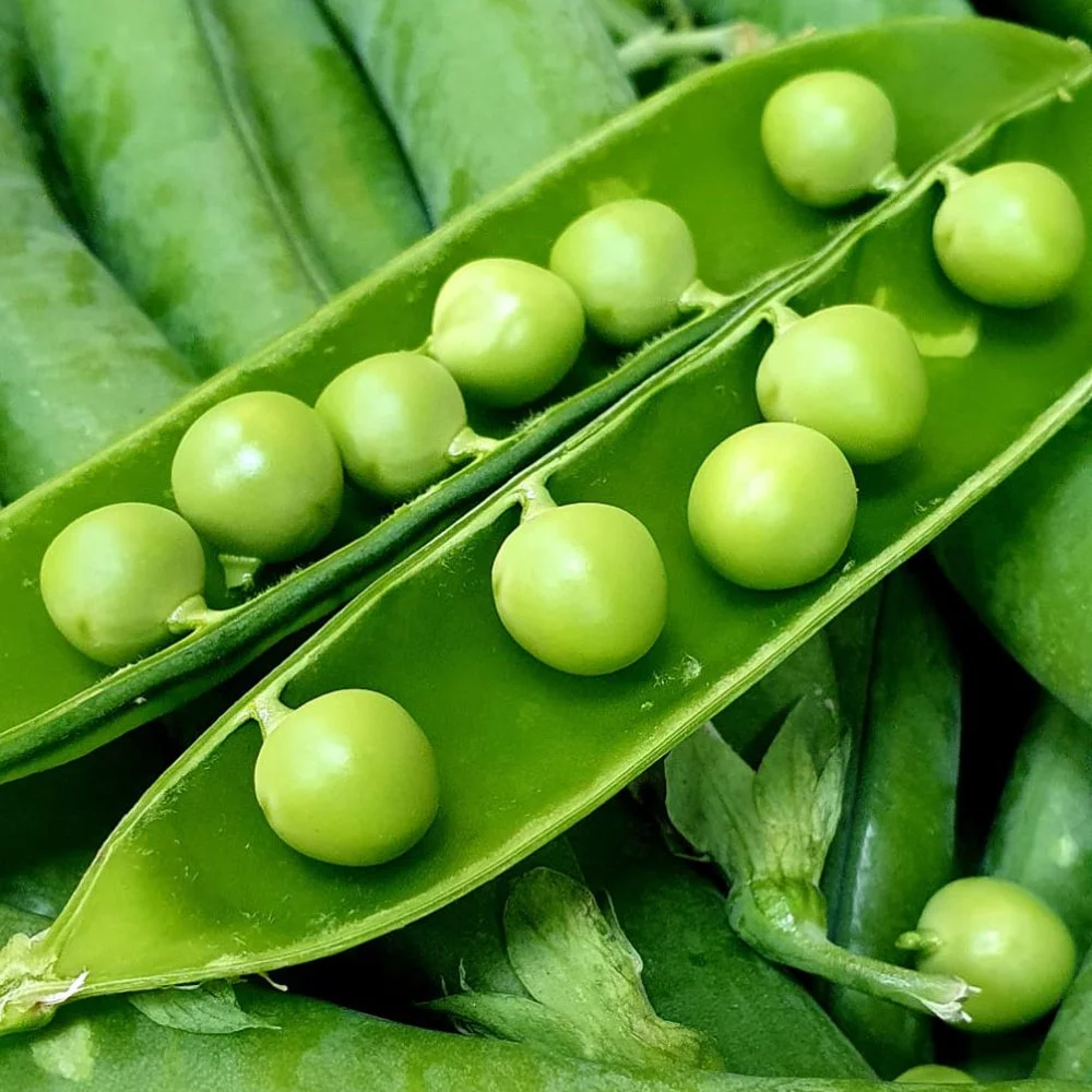 le-marche-peas.jpg