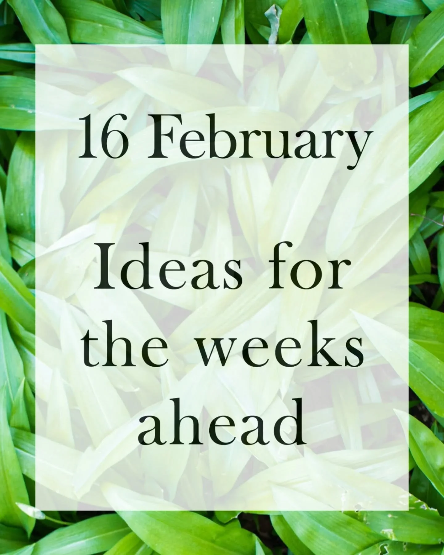 Morning Chefs!

A quick mid-month update:

🔹WEATHER WARNING. Severe weather conditions in France, Spain and Morocco have had repercussions on supply / pricing of some items. Around Alicante and Murcia, for example, many hectares of greenhouses were 