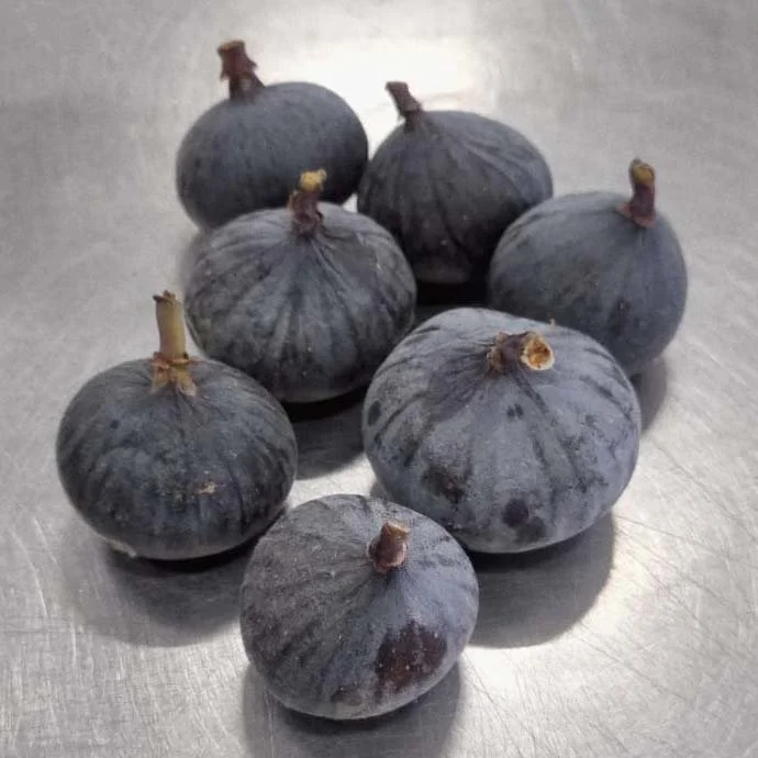 South African figs