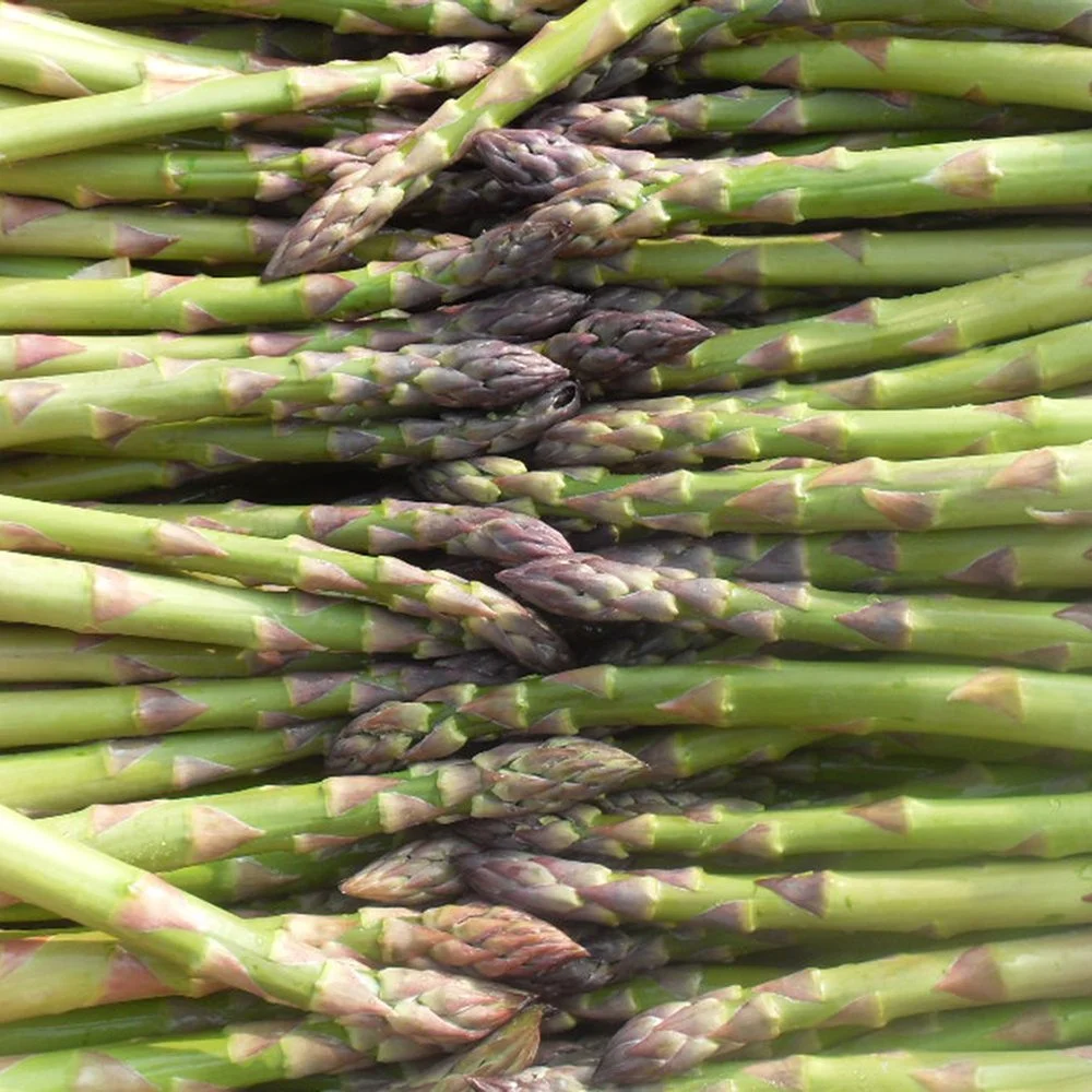 asparagus