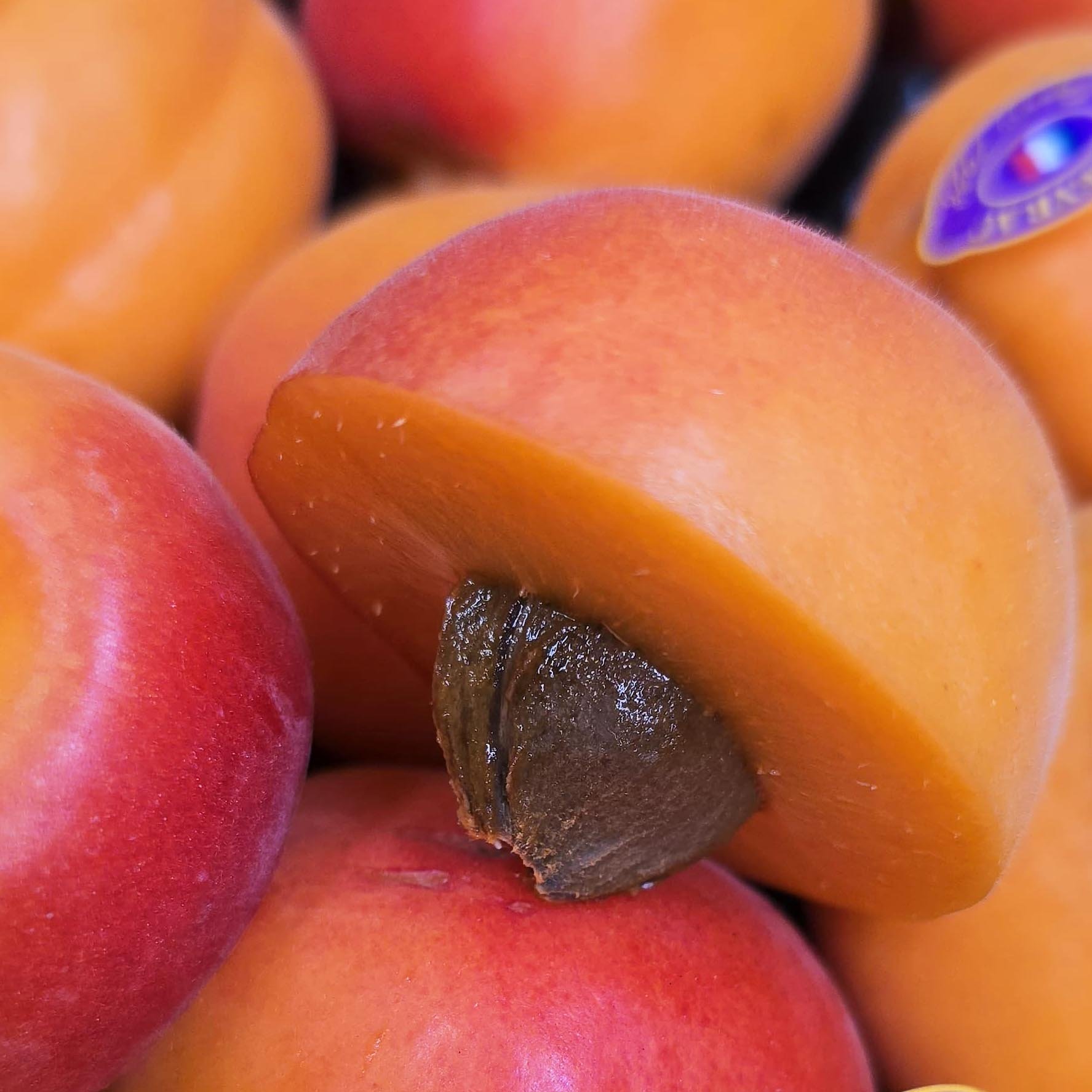 le-marche-apricots.jpg