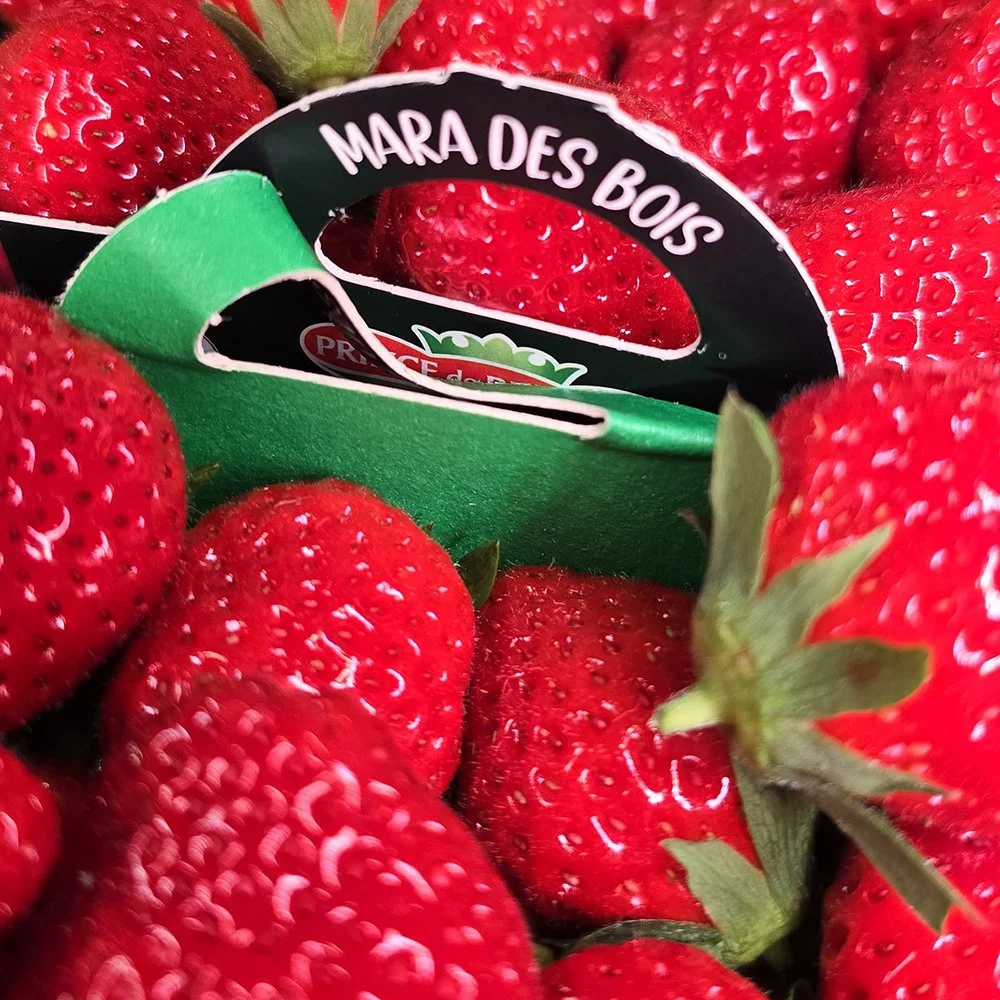 mara de bois