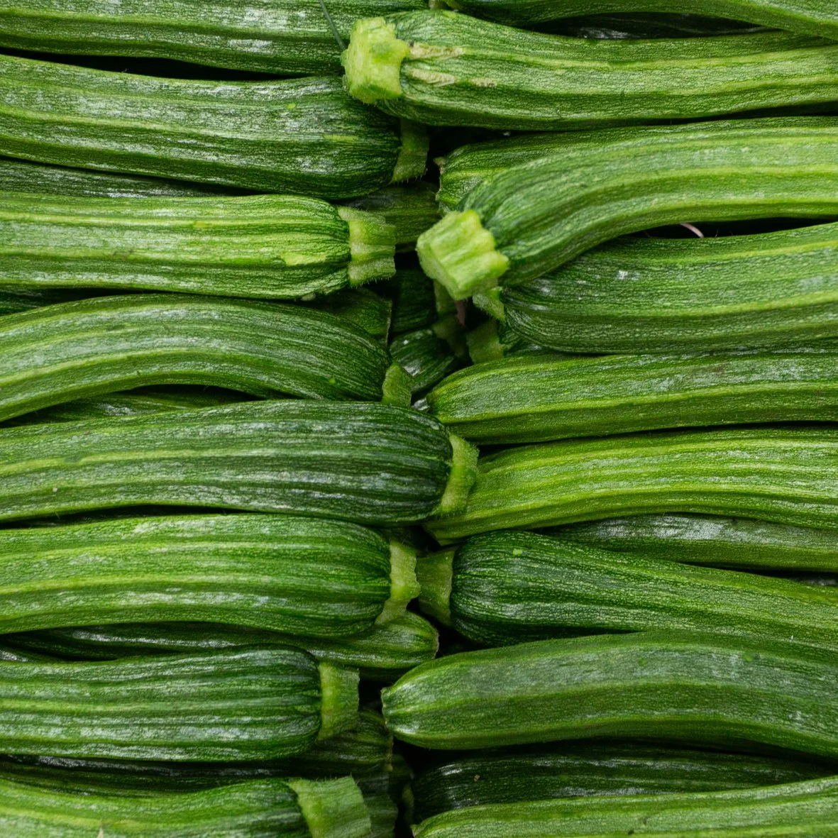 courgettes