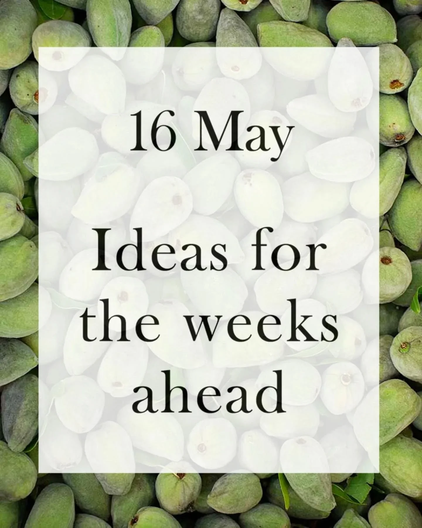 Morning Chefs!

A quick mid-month update:

🔹️We need rain! Asparagus is a thirsty plant and growers are struggling with largers grades. In effect, many are forced to regrade Extra Select ➡️ Jumbo etc. Recent cold snap has not helped. 
🔹️Annabel's Y