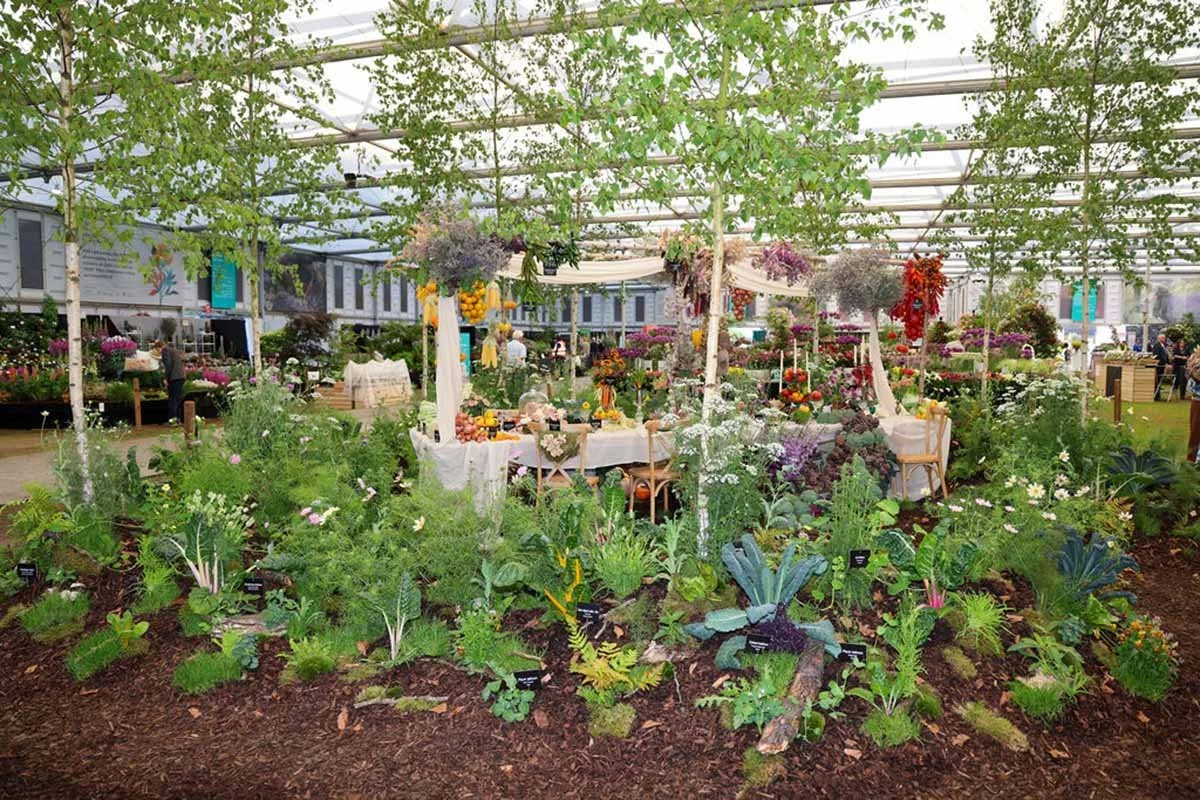 Le Marché and She Grows Veg at RHS Chelsea Flower Show
