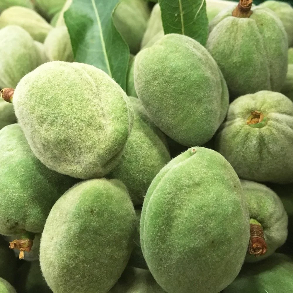 le-marche-green-almonds.jpg