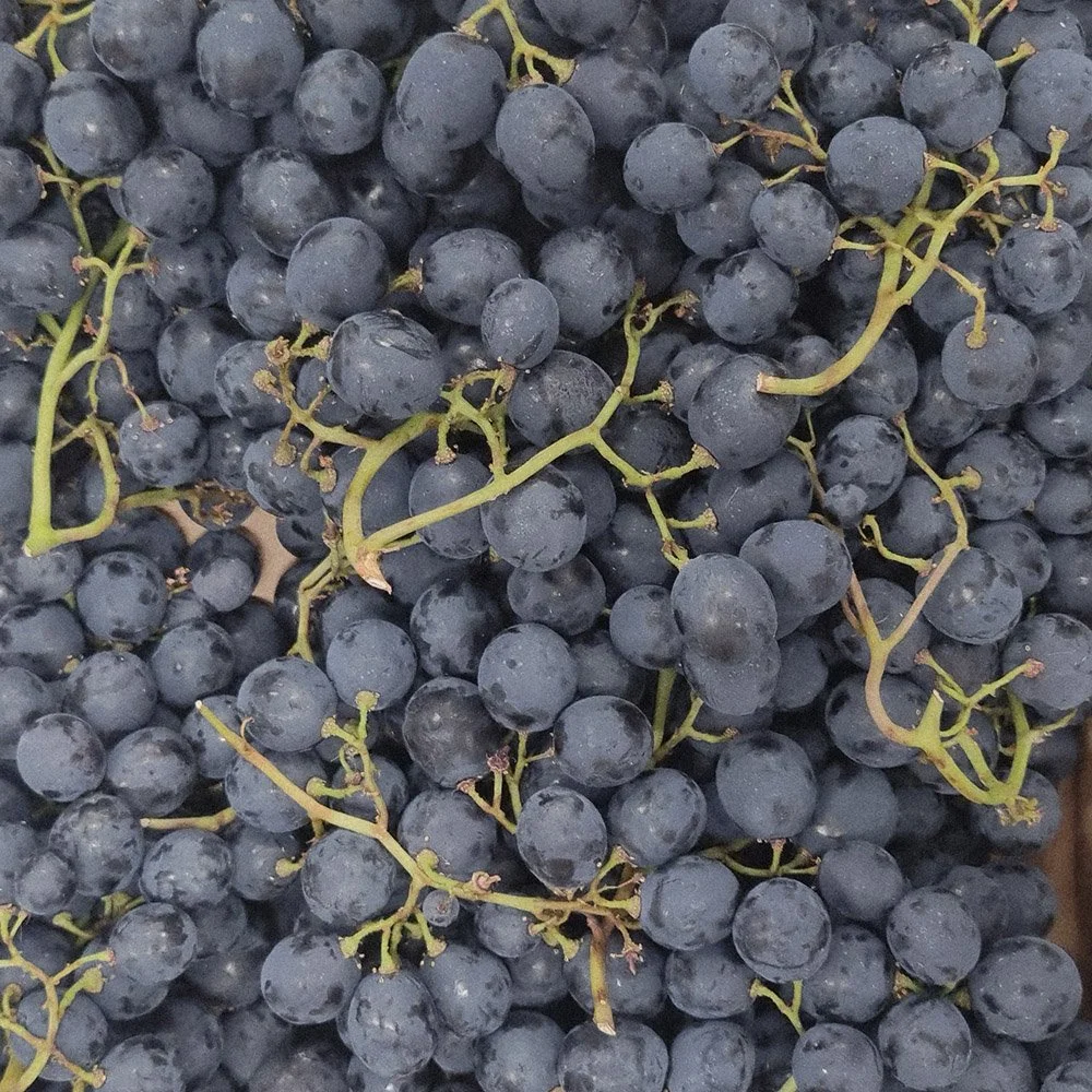 Grapes