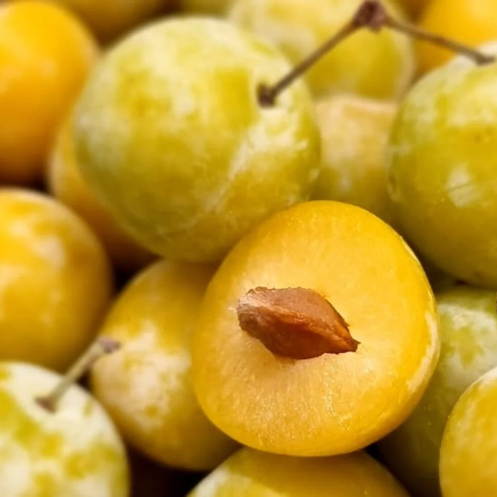 Mirabelle plums