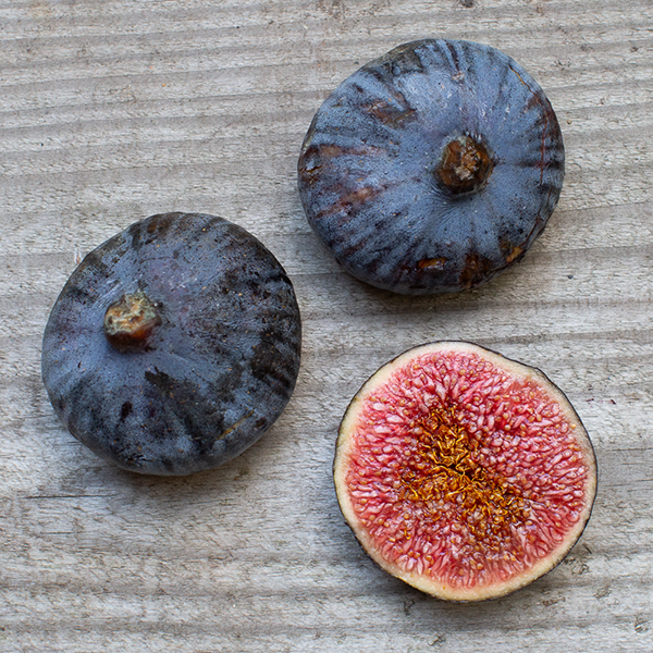 Sollies figs