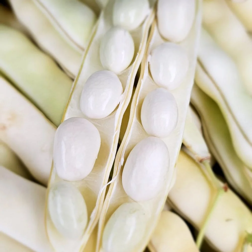 Coco beans