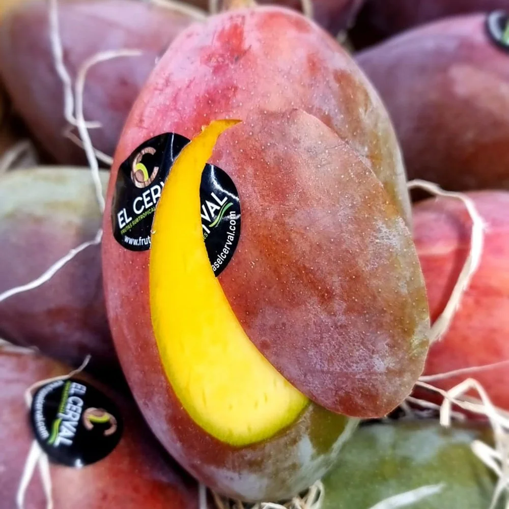 Osteen mango