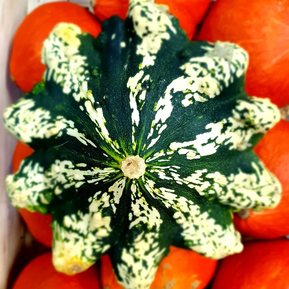Mixed squash
