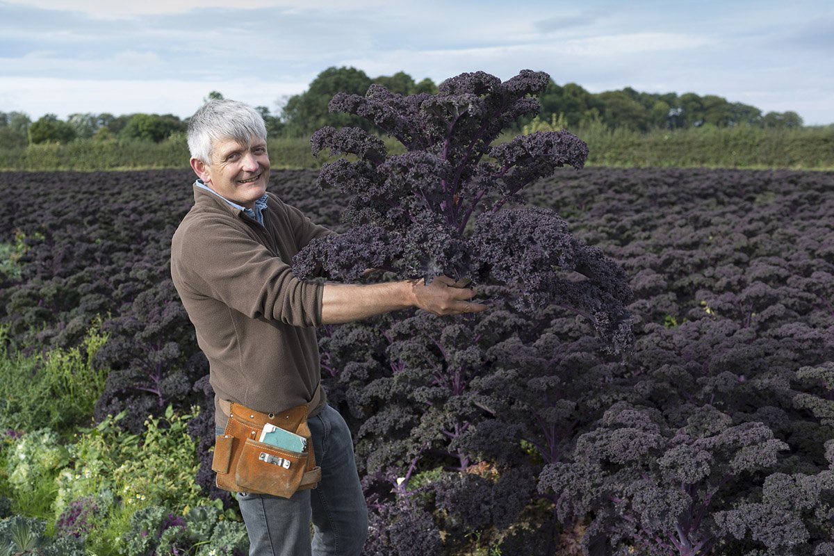 Molyneaux Kale, UK