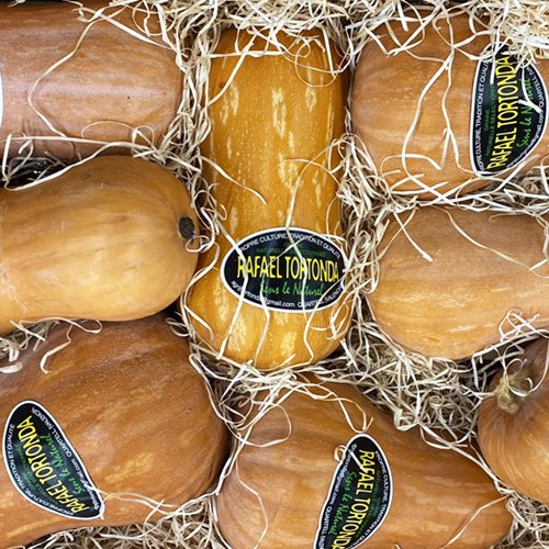 Honey Nut squash