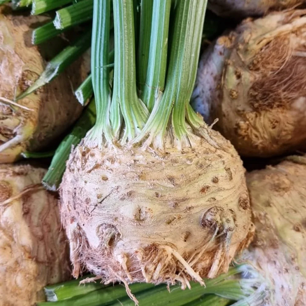 Leafy celeriac