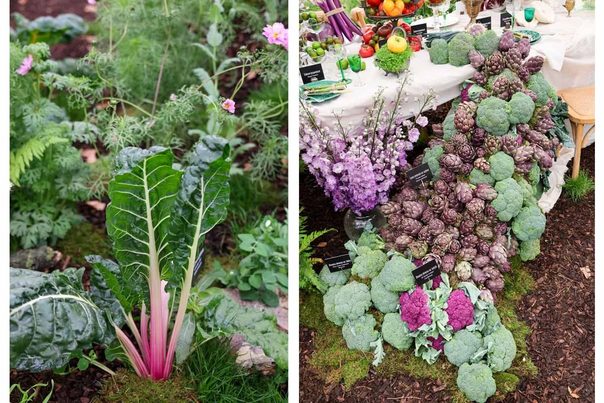 Close ups of display at RHS Chelsea