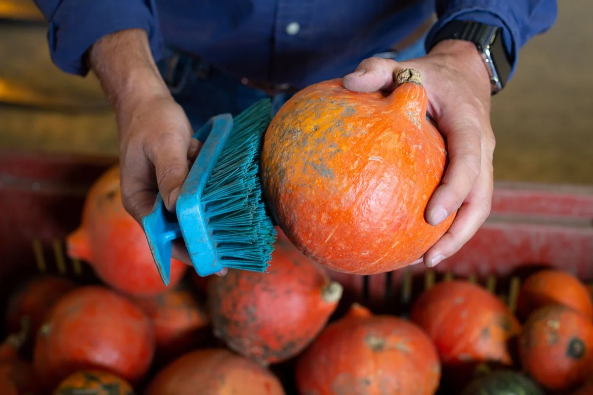 Cleaning a squash