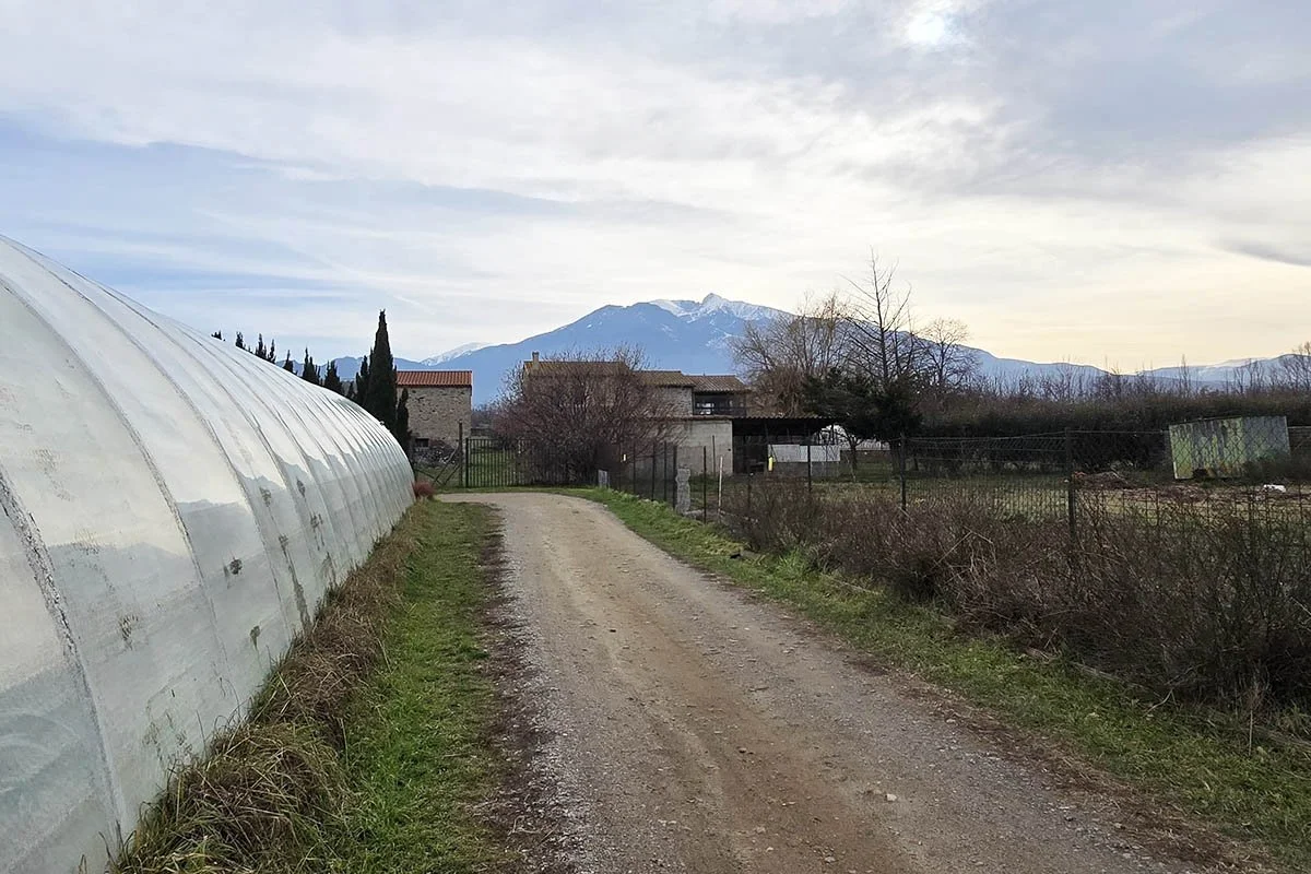 View of the mountains