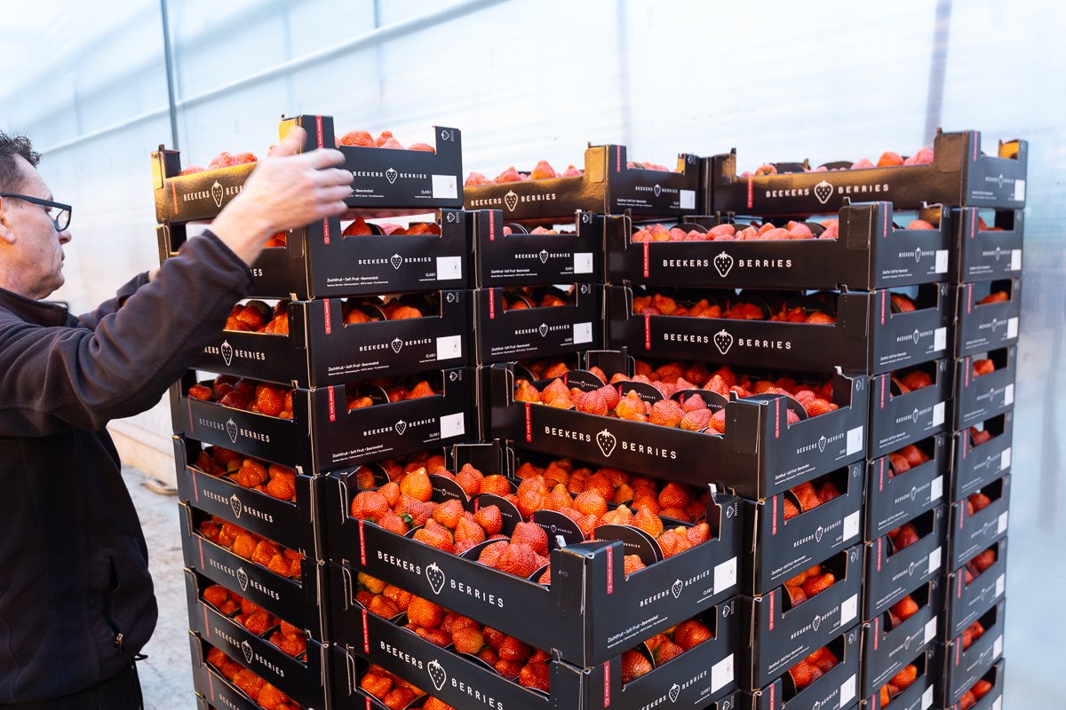 Loading a pallet at Beekers