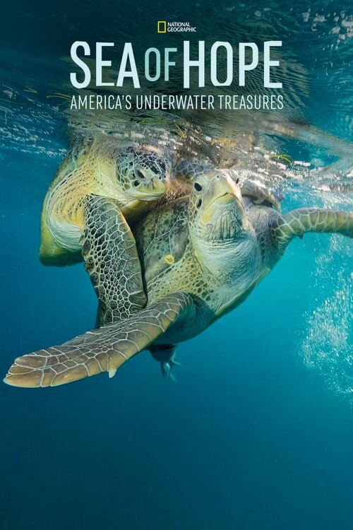 Focusing on the work of acclaimed marine biologist Dr Sylvia Earl 'Mission Blue' takes an in-depth look into the process and reasons for setting aside areas of the marine ecosystem as dedicated national parks in order to protect our oceans from overf