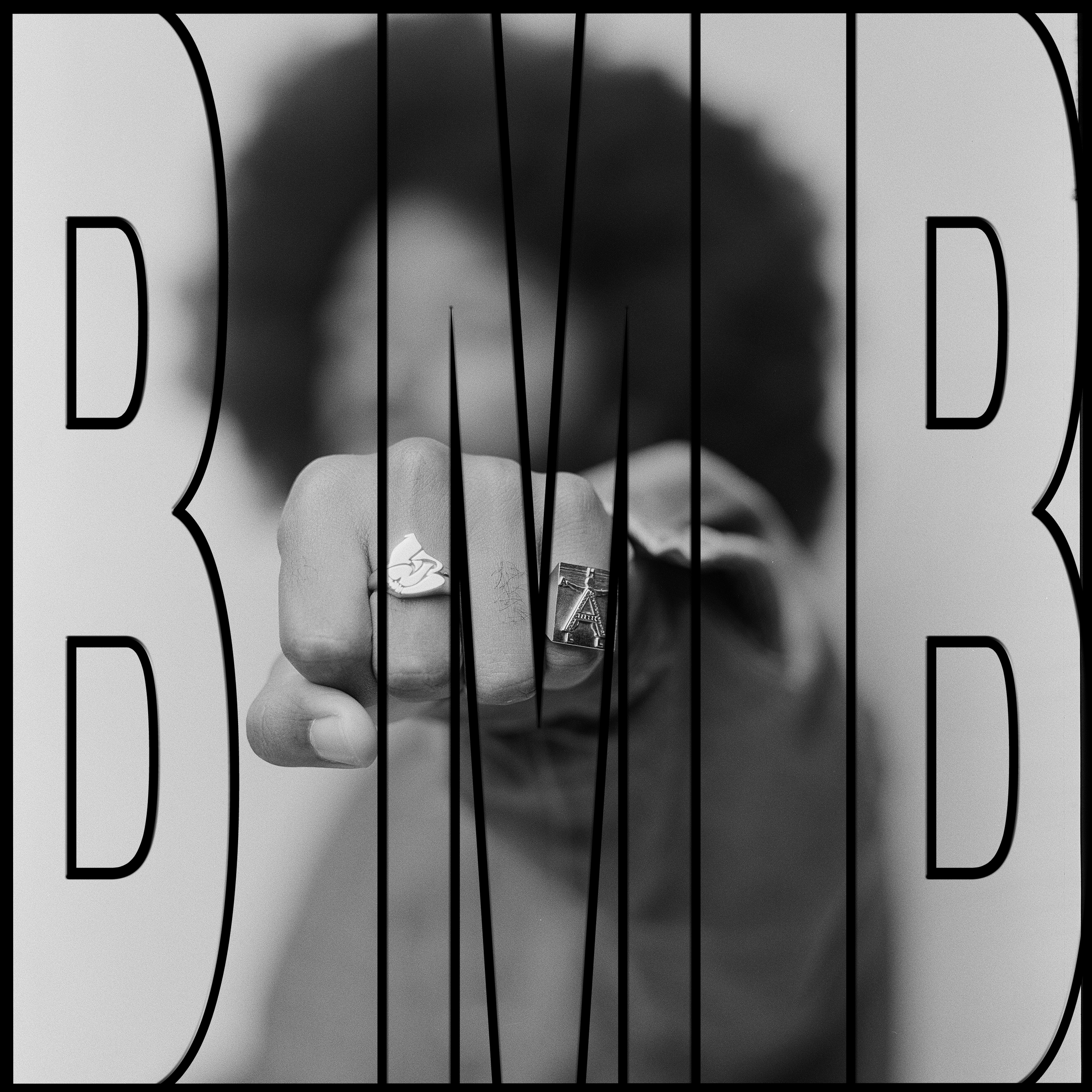 BLESSMYBONEZ ALT COV[2] copy.png