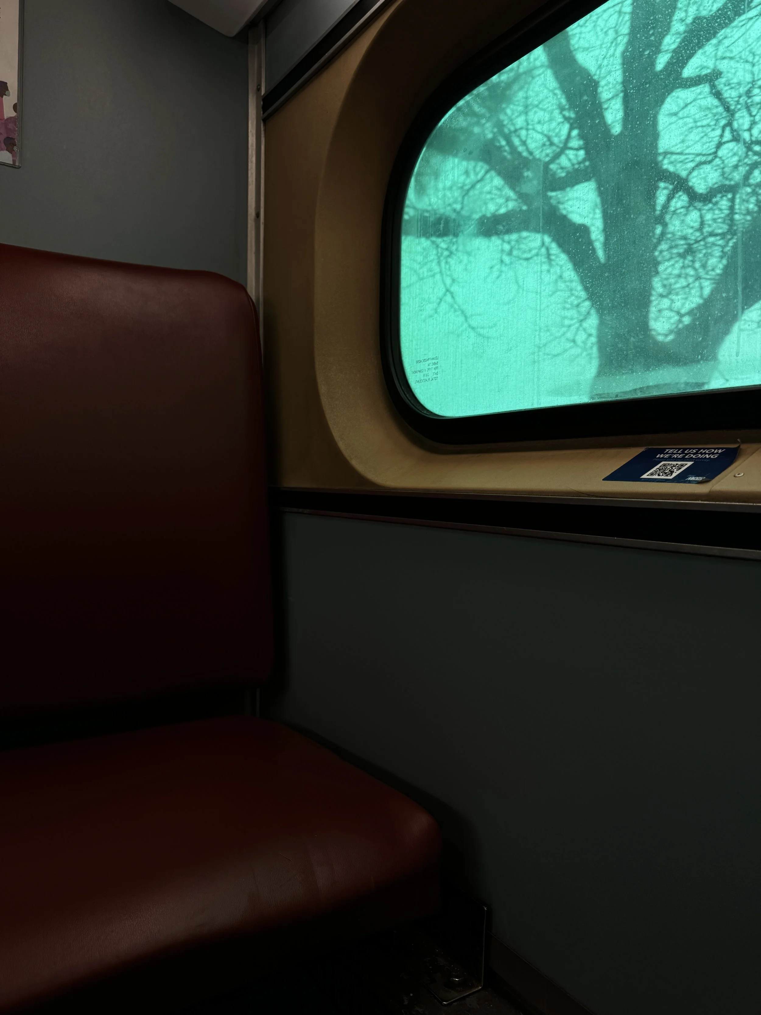 View from inside a train or bus showing a red seat and a window with the silhouette of a tree outside.