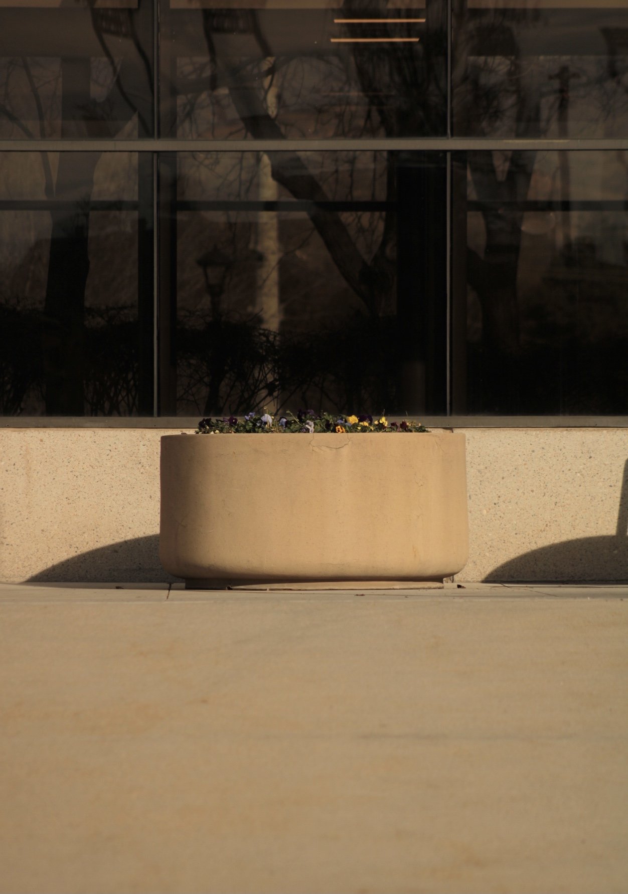 A beige planter with colorful flowers is placed on a beige concrete surface in front of a glass window reflecting trees and a lamppost.