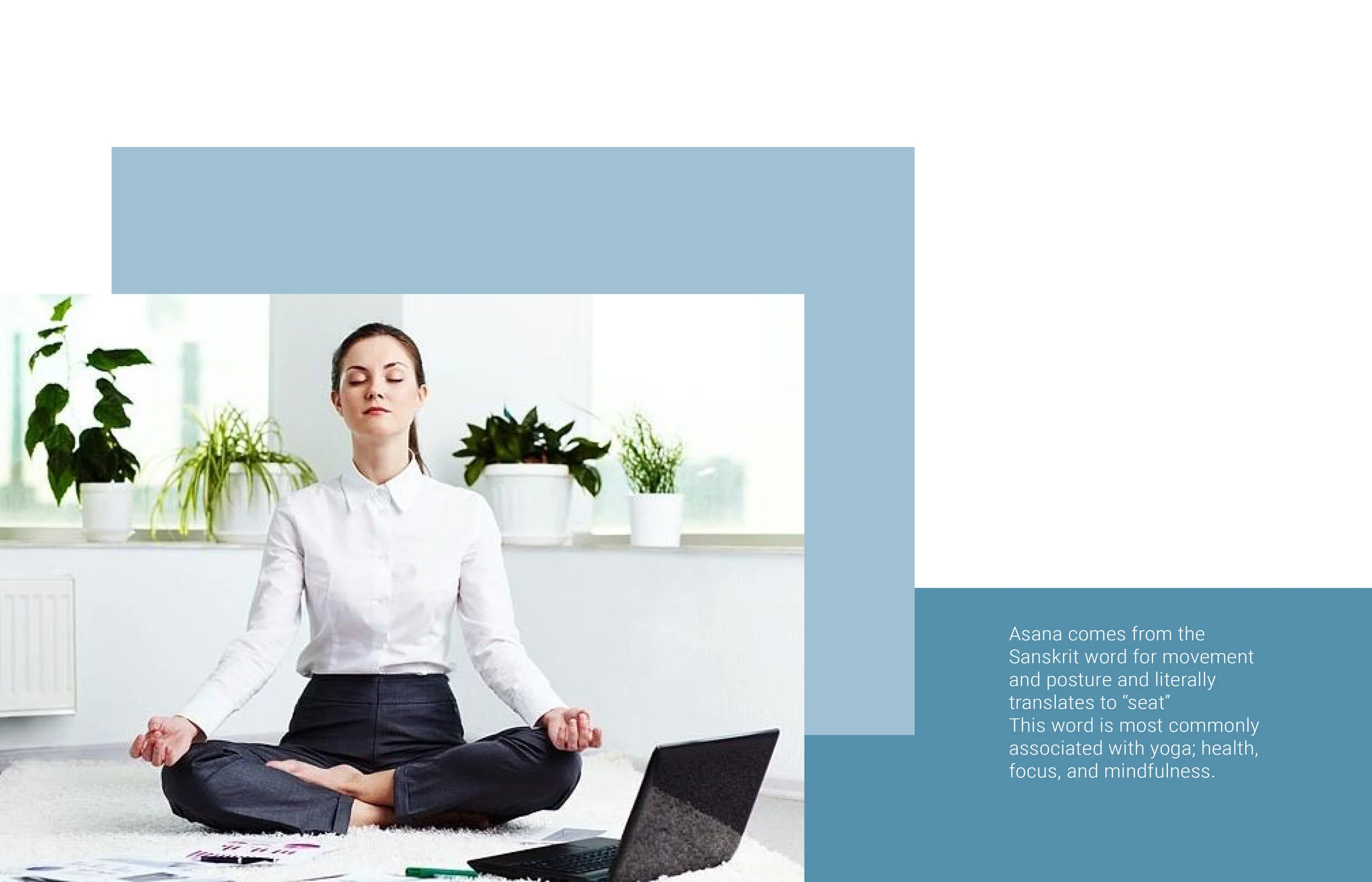 Asana 11.jpg