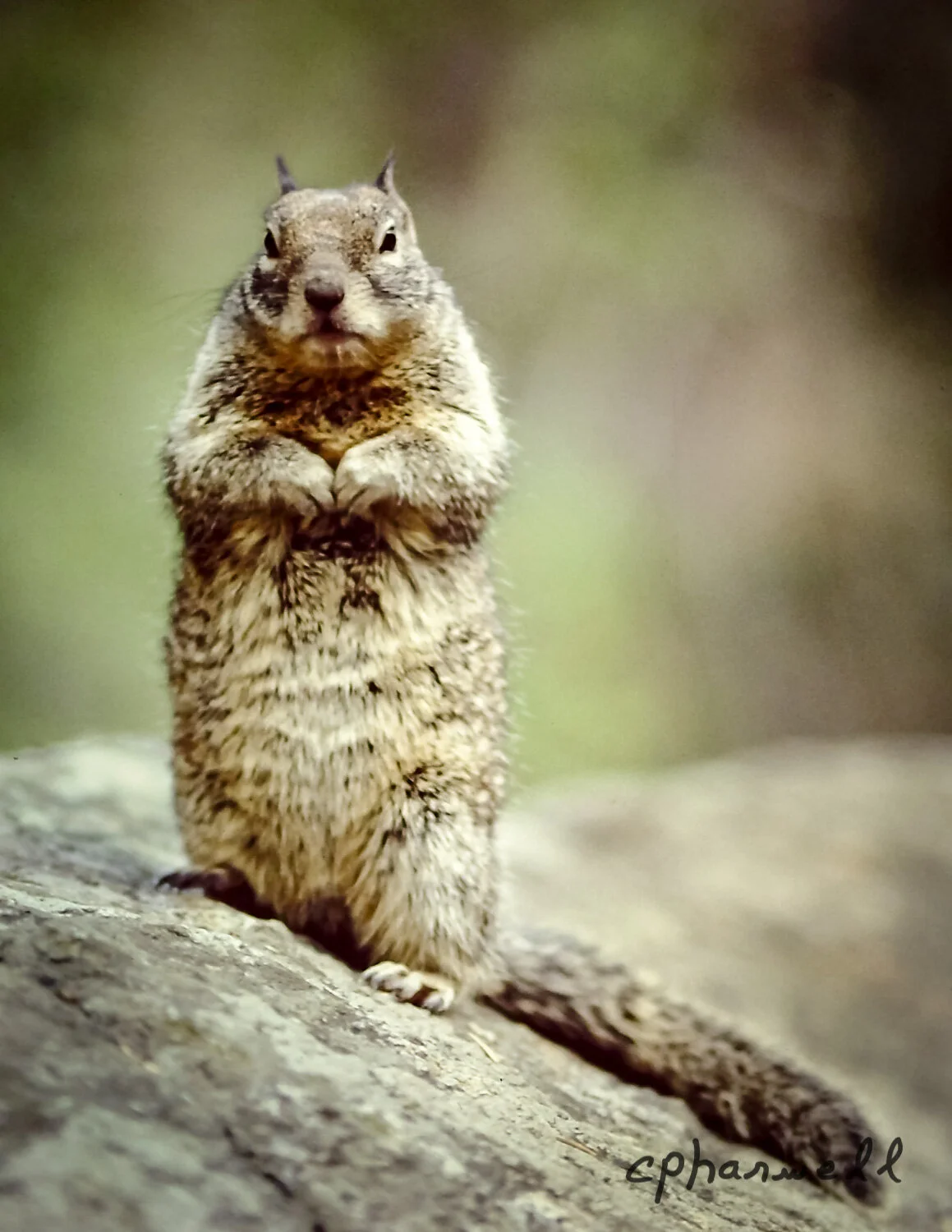 Say a Prayer - Fine Art Photography