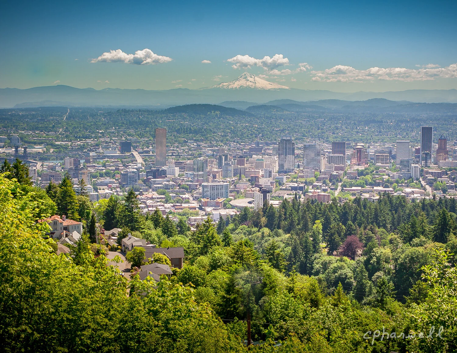 Portland Below