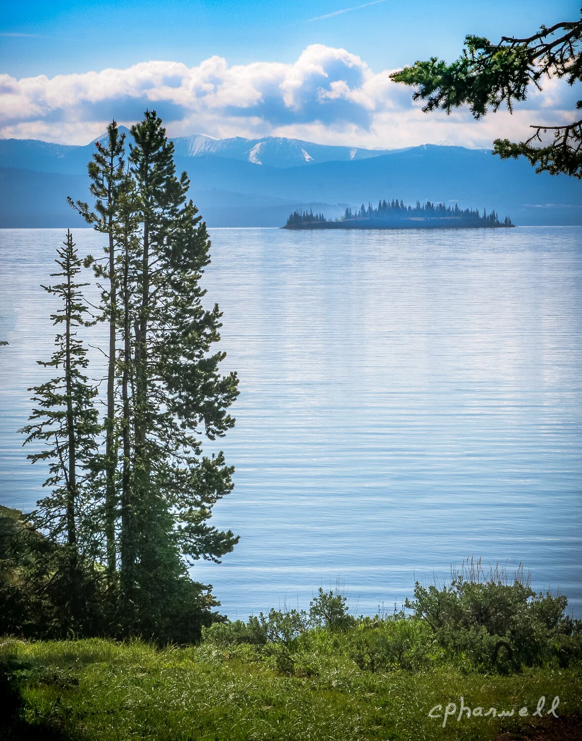 Island in the Distance