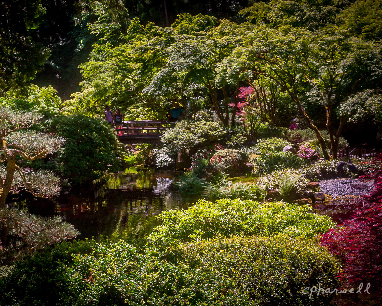 Garden Footbridge - Fine Art Photography